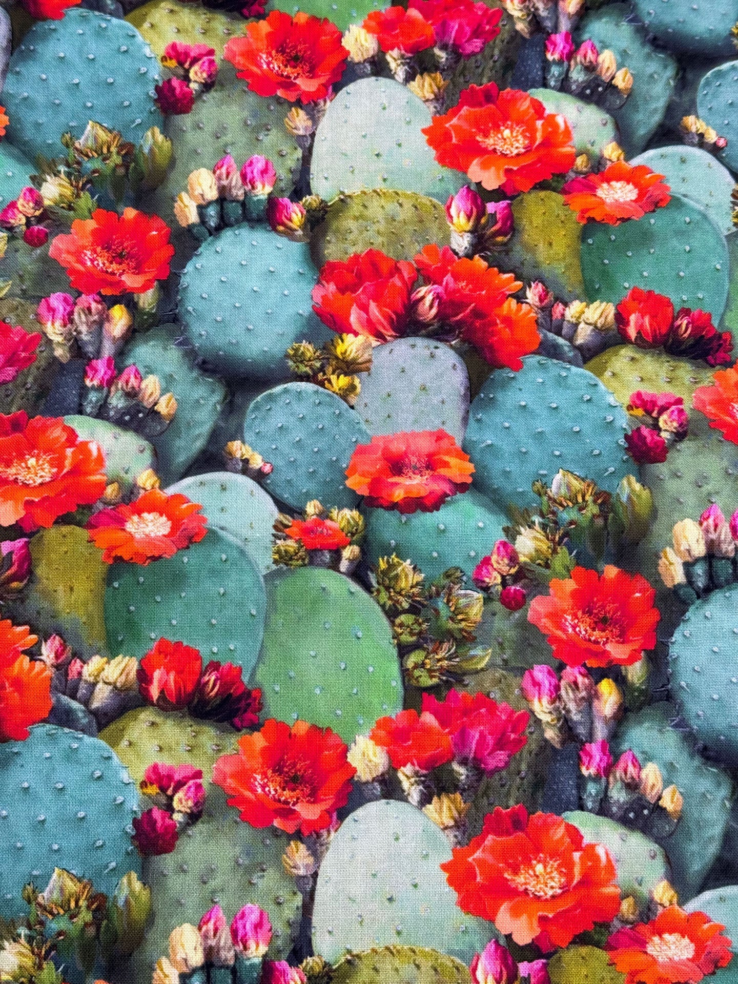 Cactus flower fabric CD2403 cactus cotton fabric - Mary Jo Fabrics