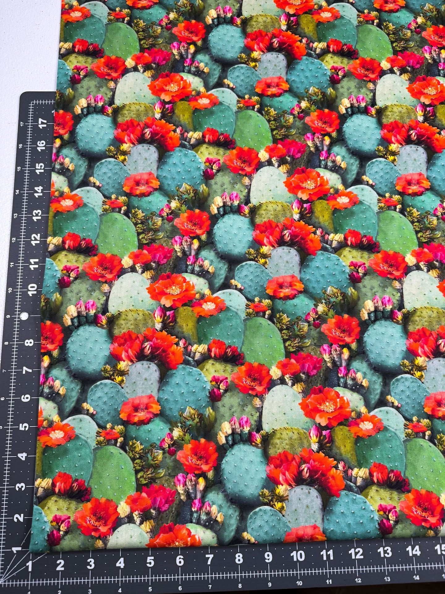 Cactus flower fabric CD2403 cactus cotton fabric - Mary Jo Fabrics