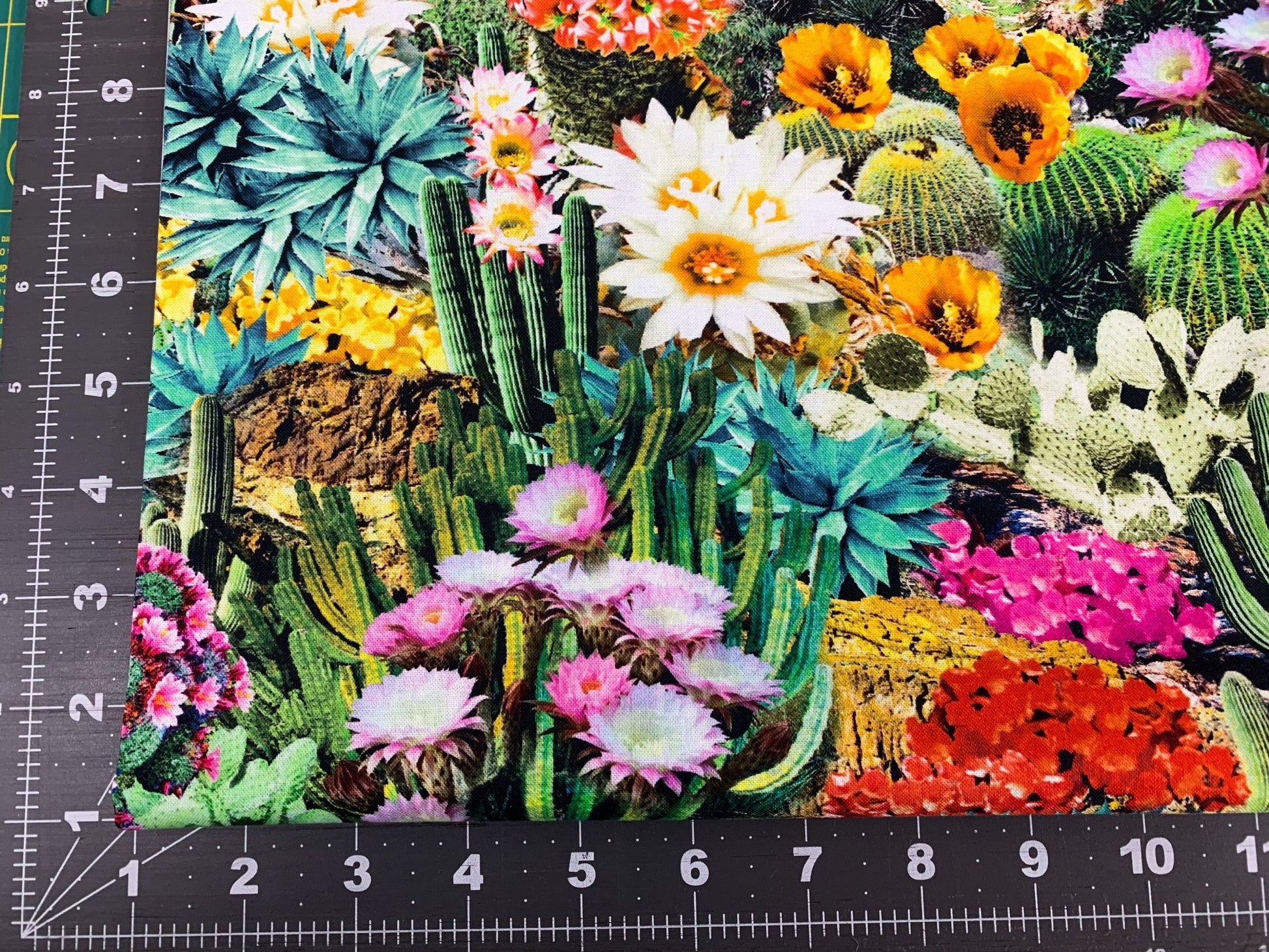 Cactus Flowers fabric CD1786 Cactus Bloom Fabric - Mary Jo Fabrics