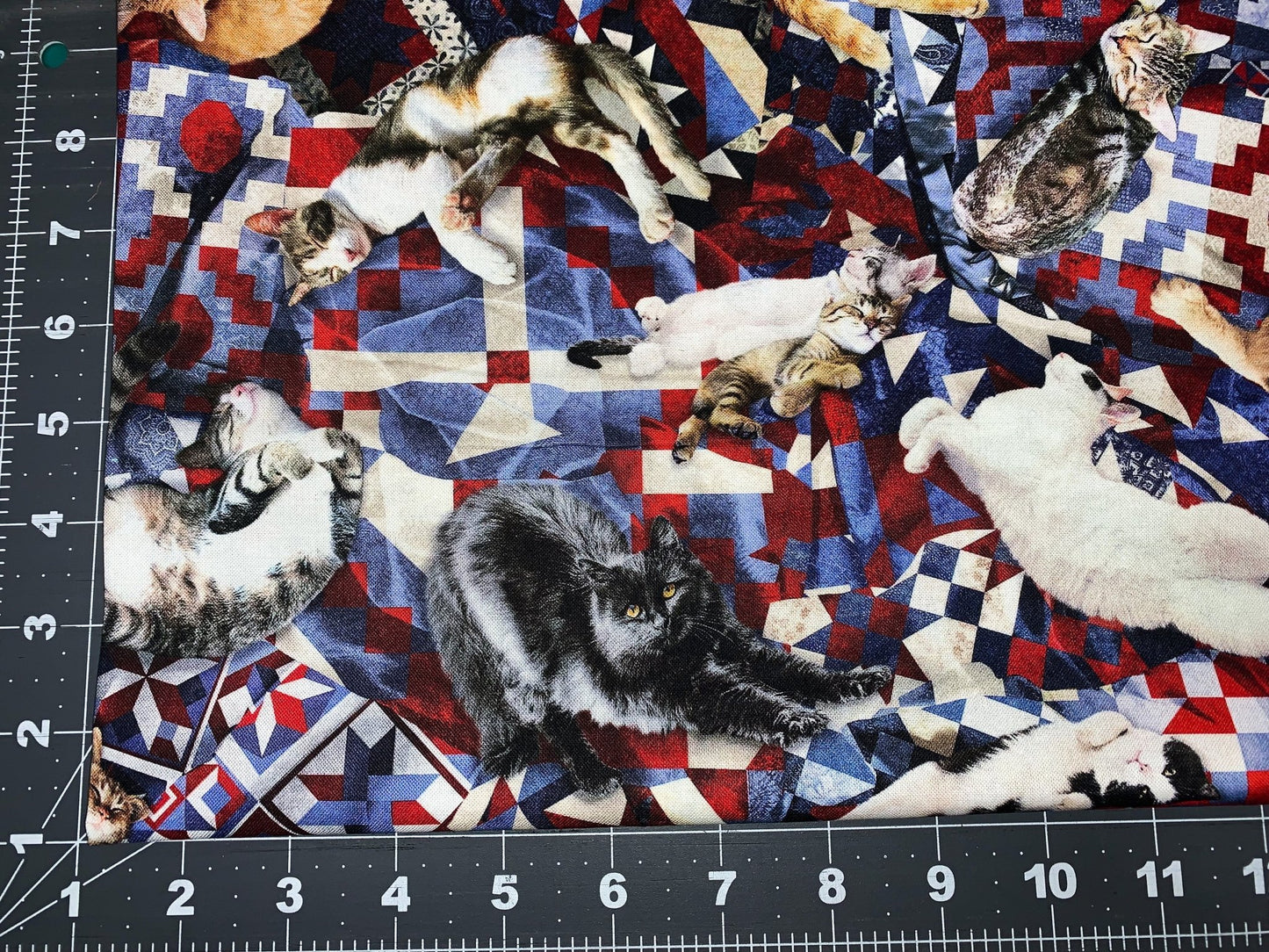 Cats on quilt fabric CD1484 cat cotton fabric - Mary Jo Fabrics