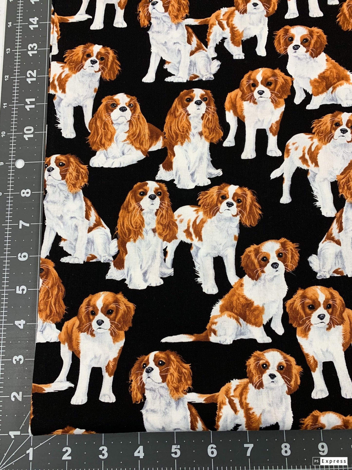 Cavalier King Charles Spaniel dog fabric - Mary Jo Fabrics