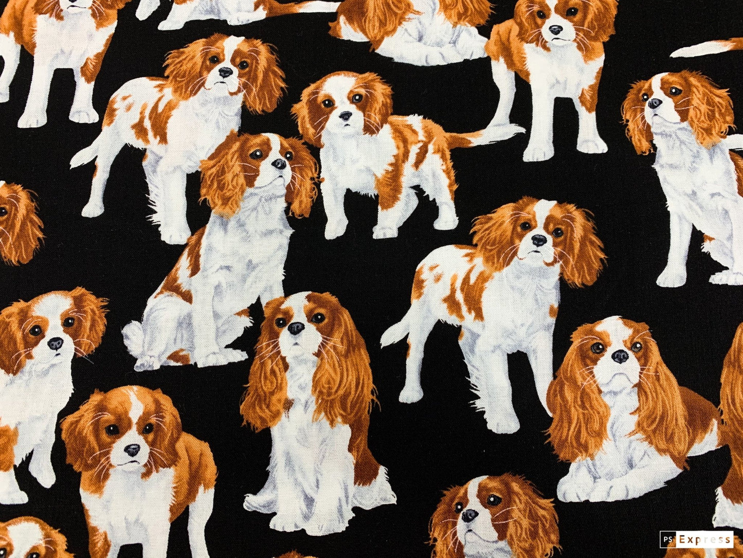 Cavalier King Charles Spaniel dog fabric - Mary Jo Fabrics