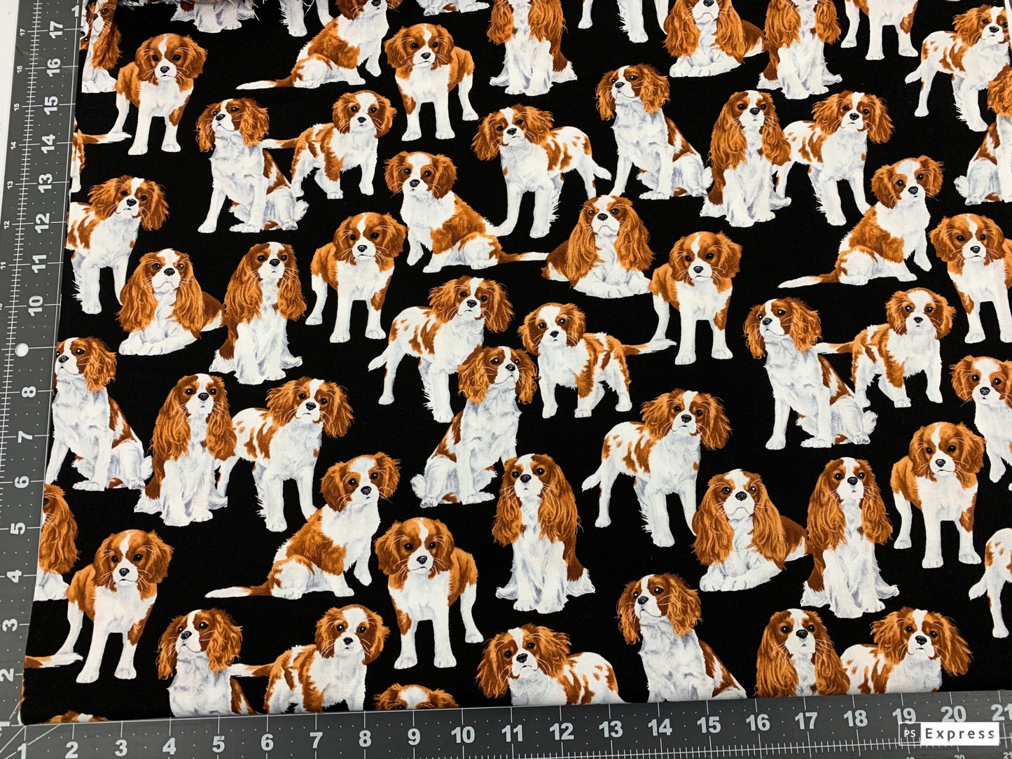 Cavalier King Charles Spaniel dog fabric - Mary Jo Fabrics