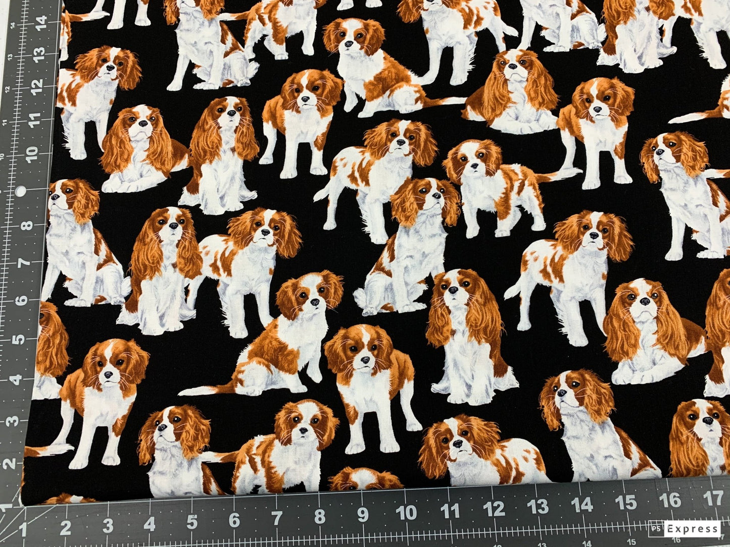 Cavalier King Charles Spaniel dog fabric - Mary Jo Fabrics