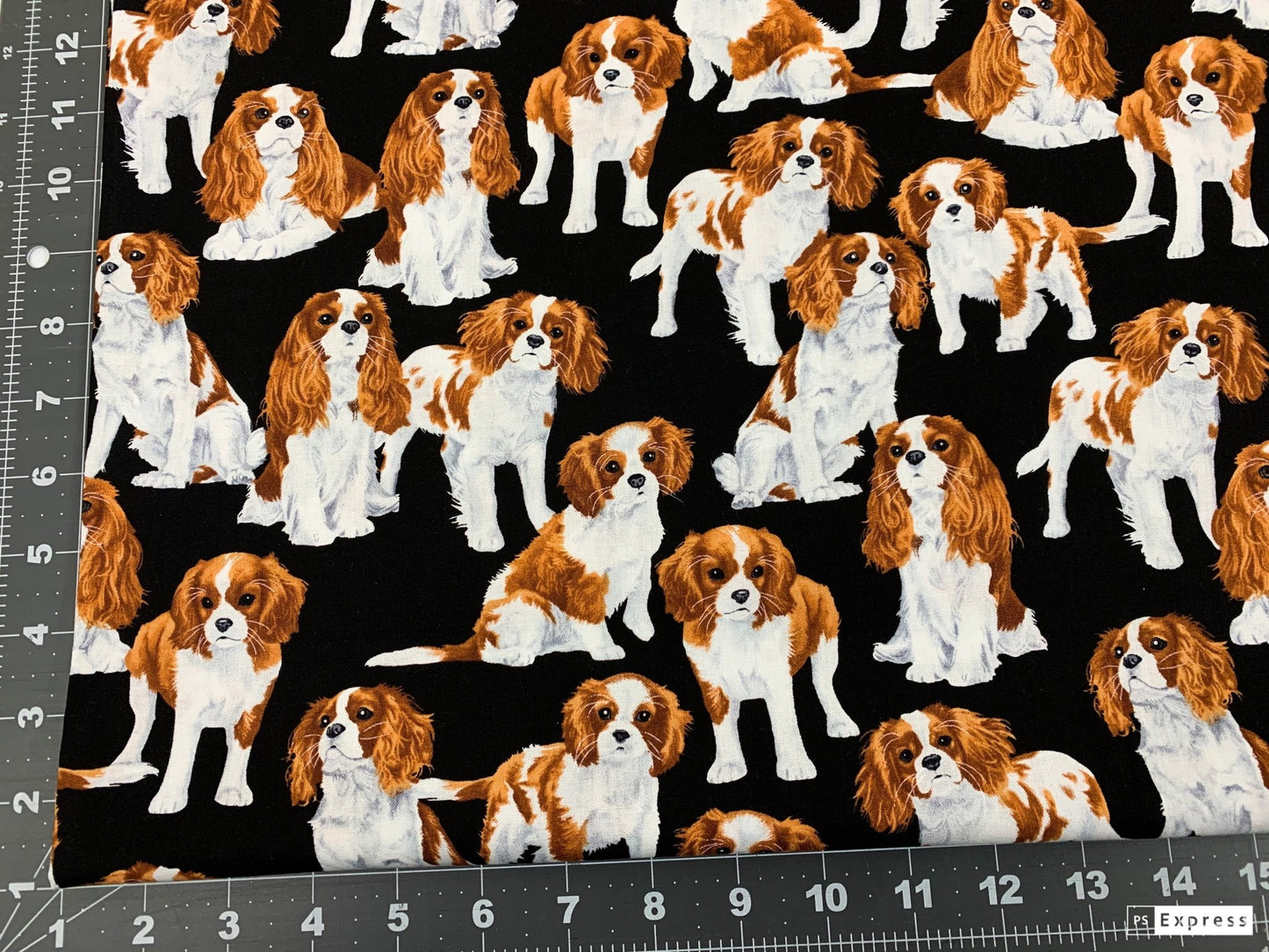 Cavalier King Charles Spaniel dog fabric - Mary Jo Fabrics