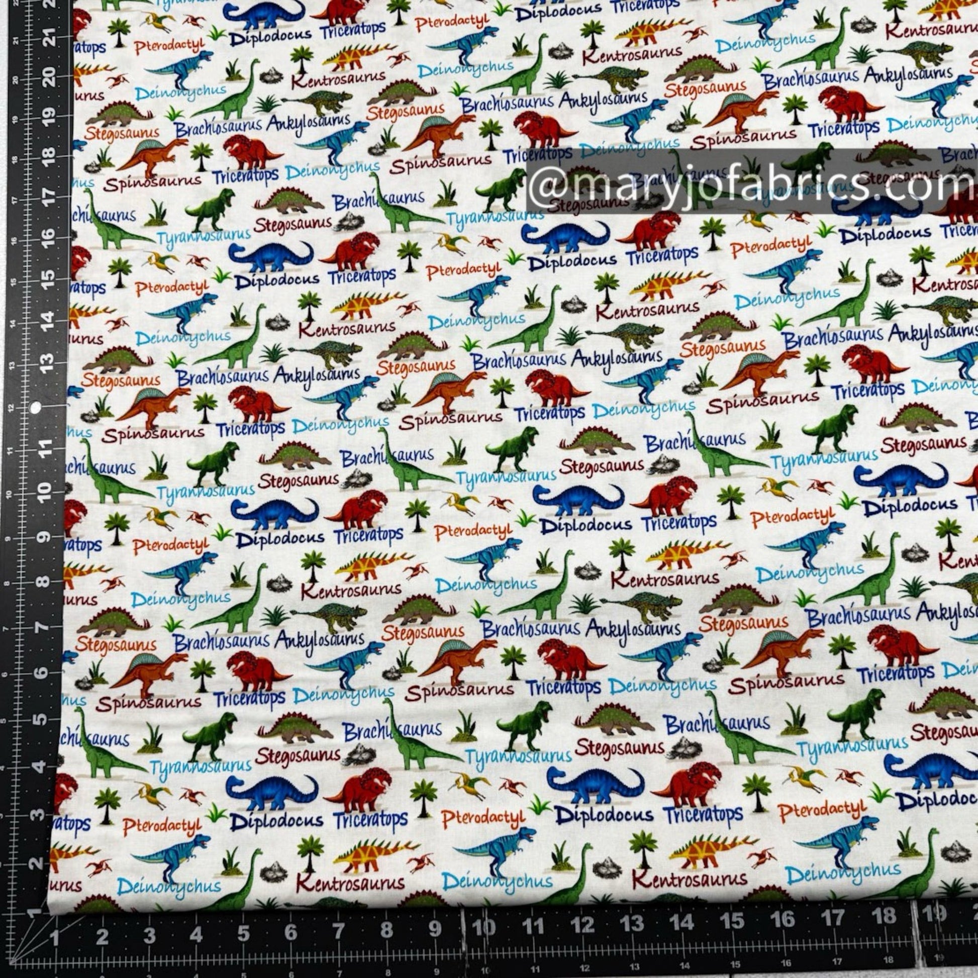 Cute Dinosaurs Cotton Fabric CD3847 Dinosaur Names - Mary Jo Fabrics