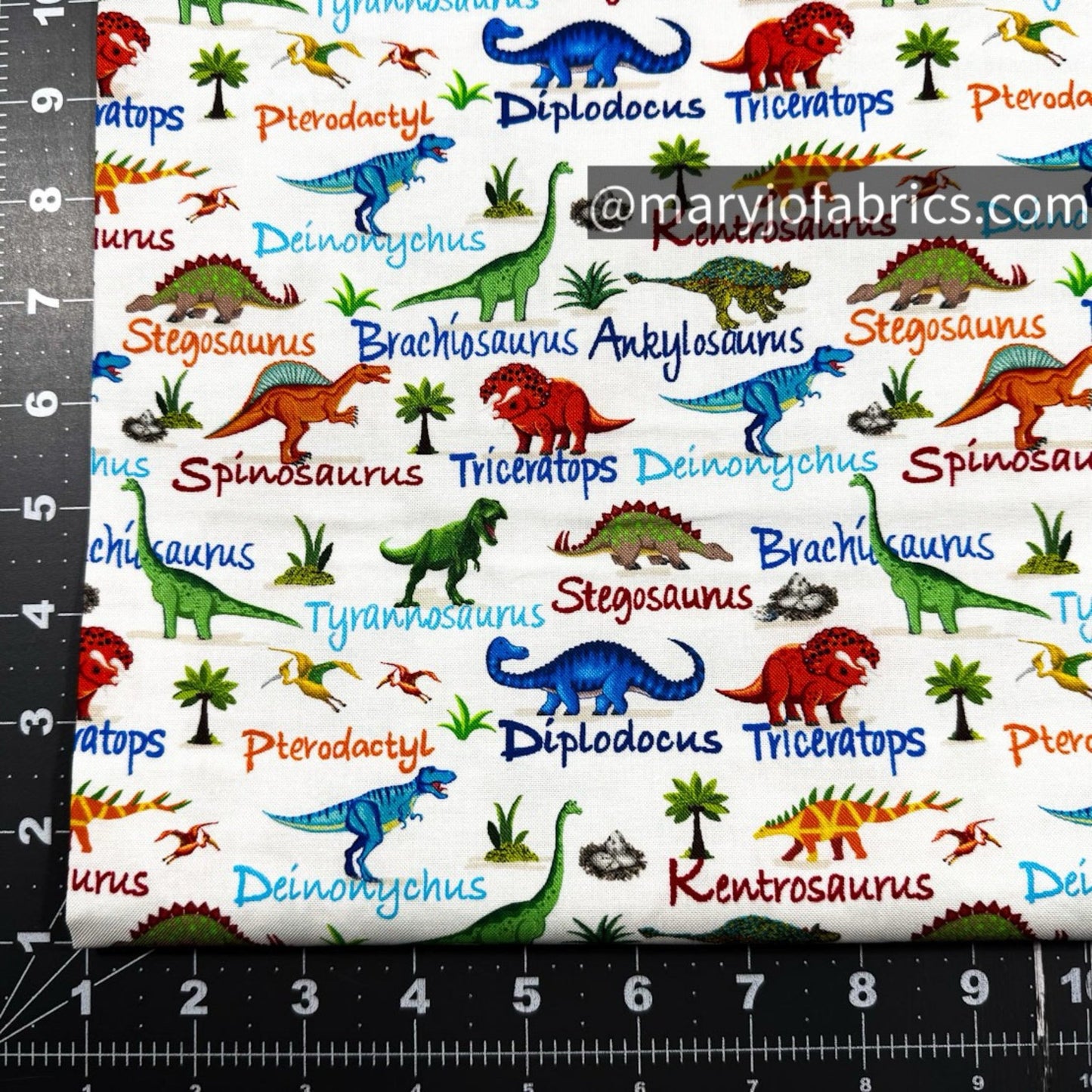 Cute Dinosaurs Cotton Fabric CD3847 Dinosaur Names - Mary Jo Fabrics