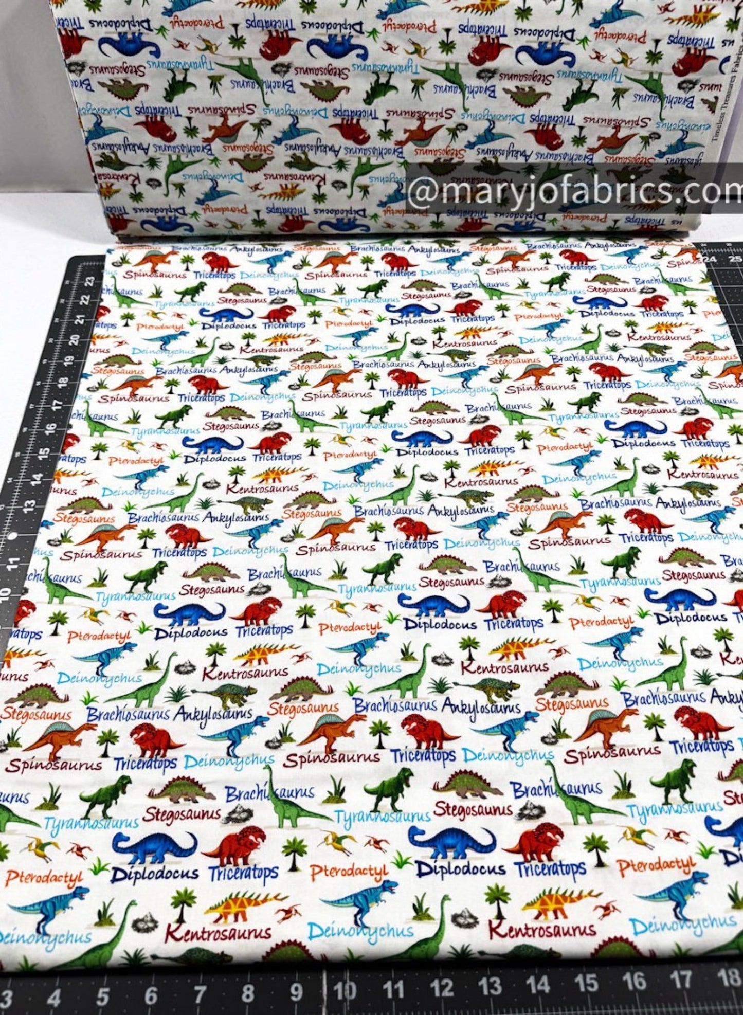 Cute Dinosaurs Cotton Fabric CD3847 Dinosaur Names - Mary Jo Fabrics