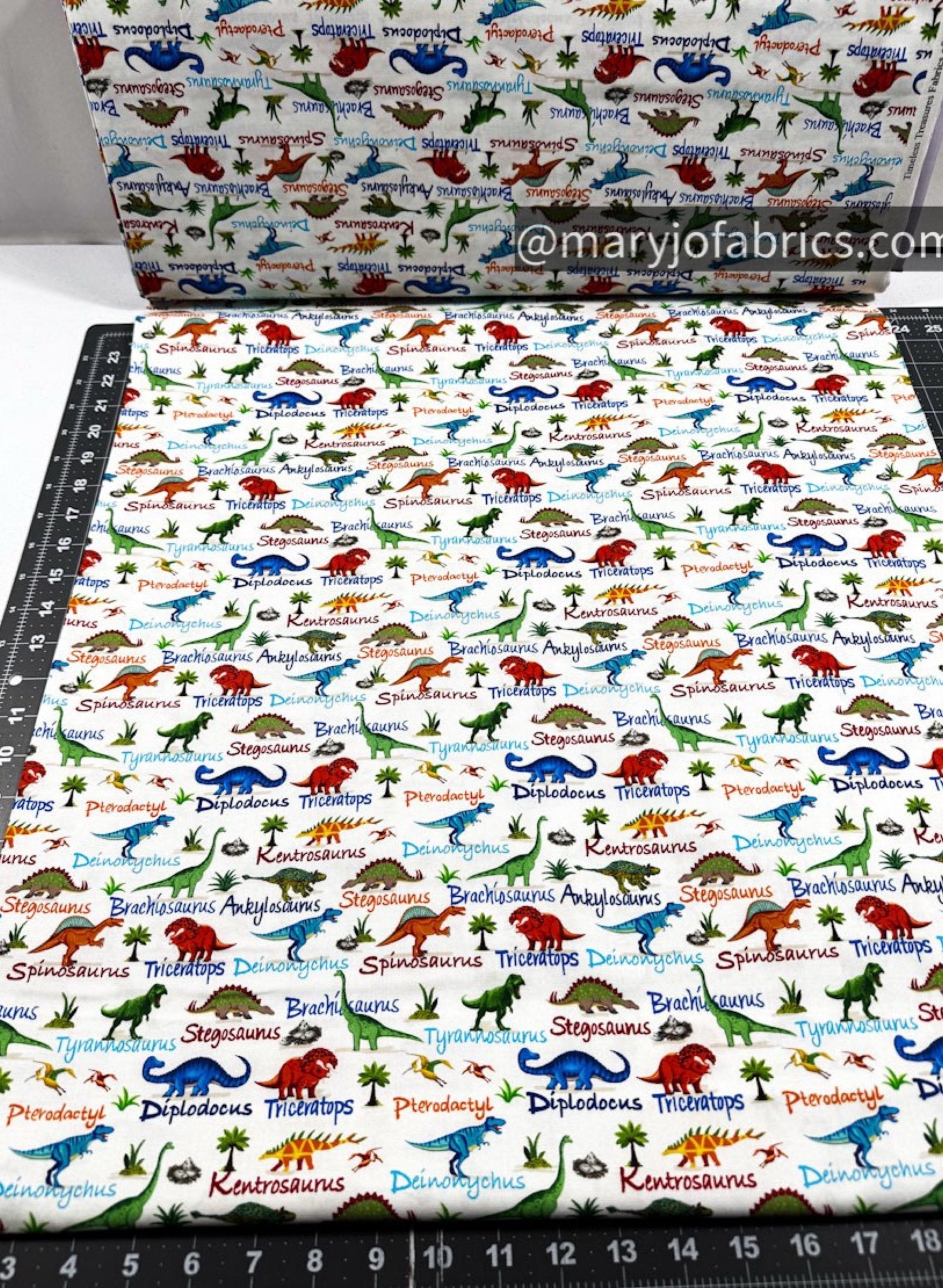 Cute Dinosaurs Cotton Fabric CD3847 Dinosaur Names - Mary Jo Fabrics