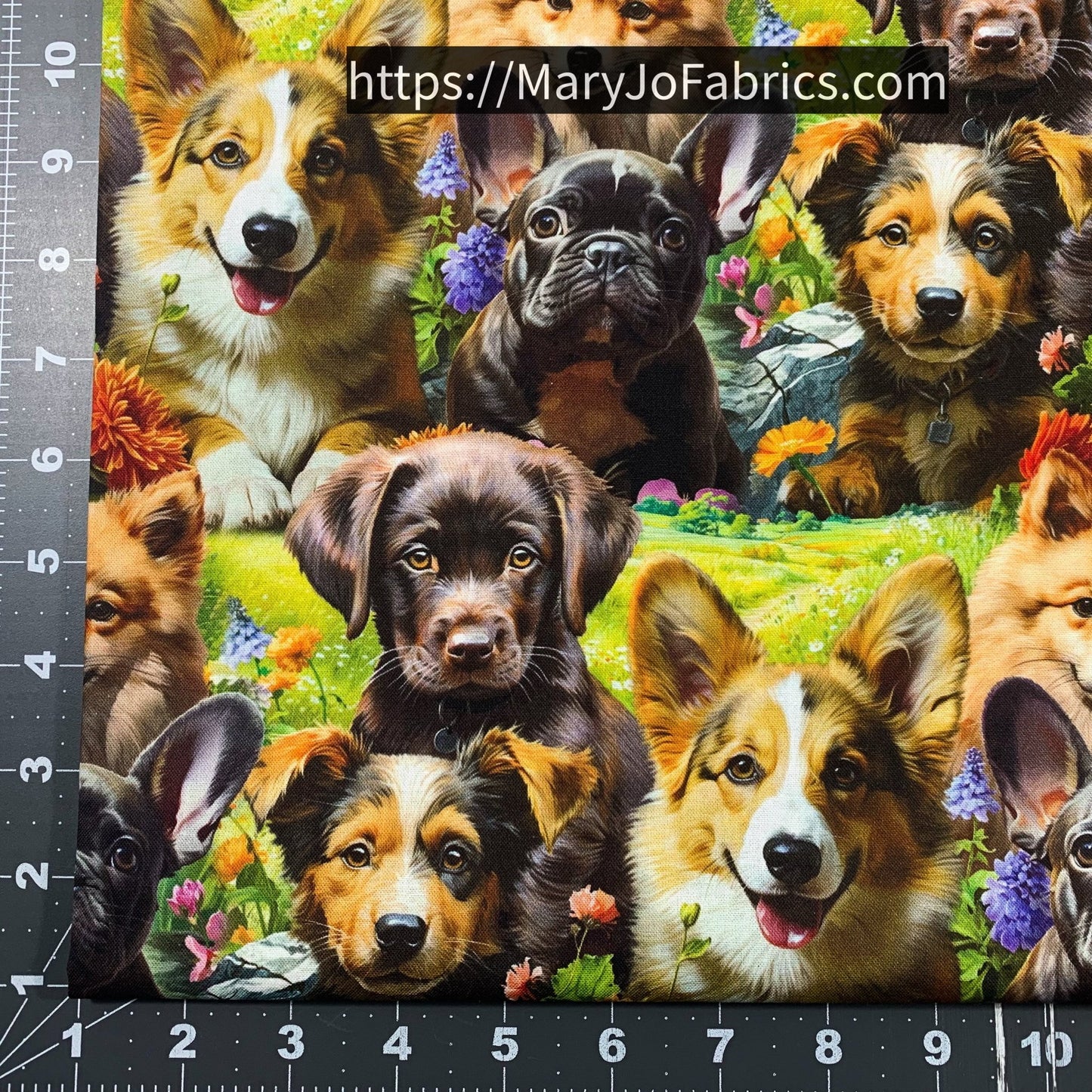 Cute Puppy Cotton Fabric ML37005C1 Selfie Puppies - Mary Jo Fabrics