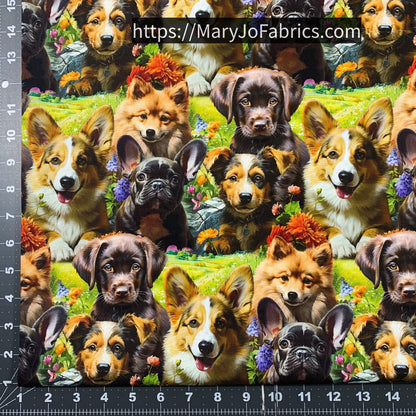 Cute Puppy Cotton Fabric ML37005C1 Selfie Puppies - Mary Jo Fabrics