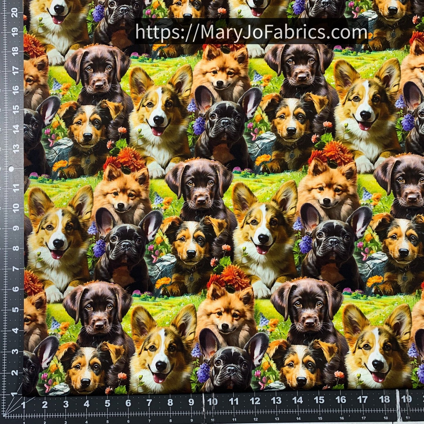 Cute Puppy Cotton Fabric ML37005C1 Selfie Puppies - Mary Jo Fabrics