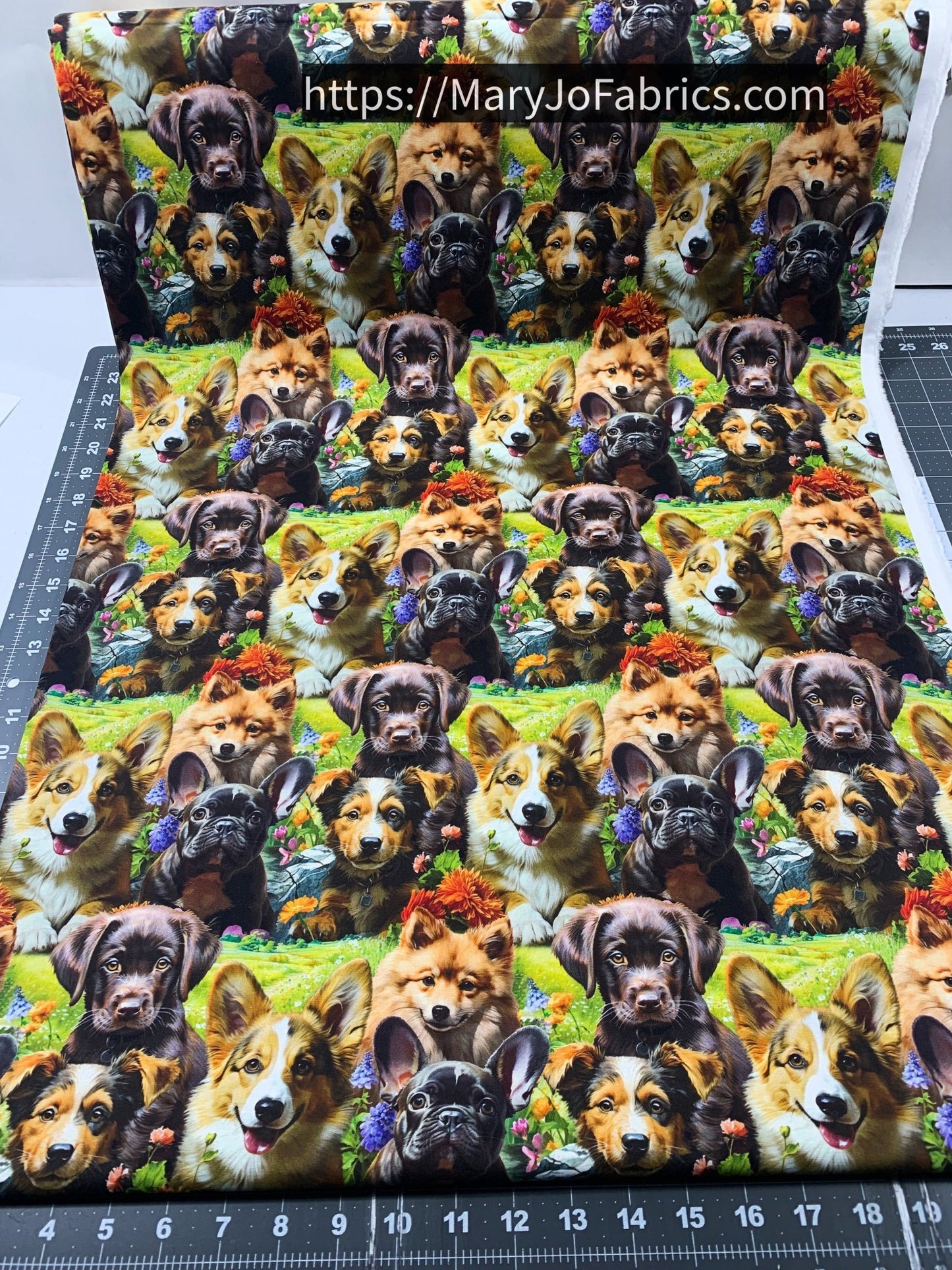 Cute Puppy Cotton Fabric ML37005C1 Selfie Puppies - Mary Jo Fabrics