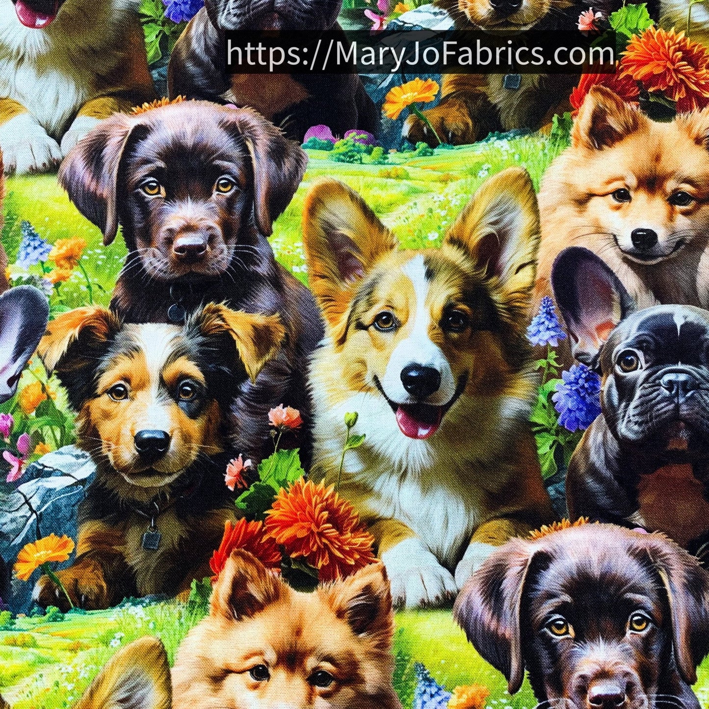 Cute Puppy Cotton Fabric ML37005C1 Selfie Puppies - Mary Jo Fabrics