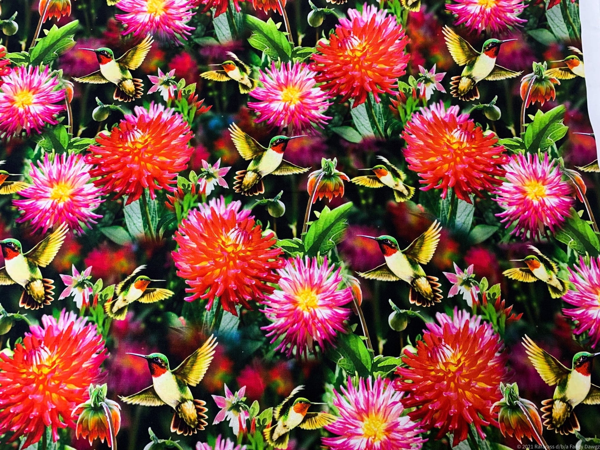 Dahlias and Hummingbirds fabric GG00379C floral fabric - Mary Jo Fabrics