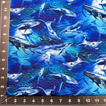 Deep Sea Whale Fabric 59 - 7821 Whales Cotton Fabric - Mary Jo Fabrics
