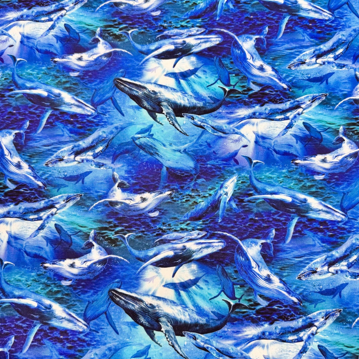 Deep Sea Whale Fabric 59 - 7821 Whales Cotton Fabric - Mary Jo Fabrics