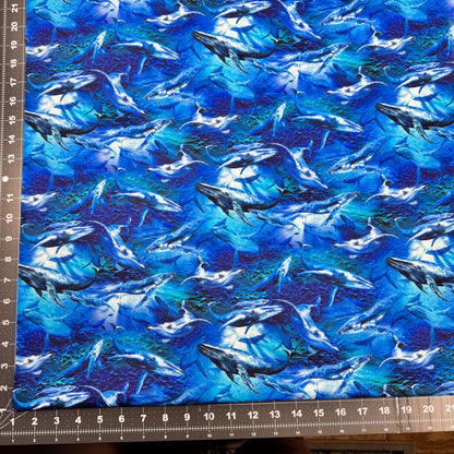 Deep Sea Whale Fabric 59 - 7821 Whales Cotton Fabric - Mary Jo Fabrics