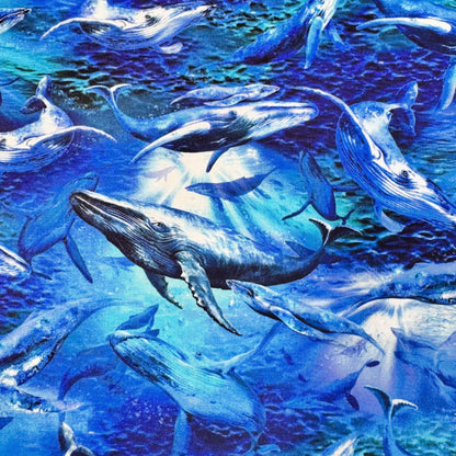 Deep Sea Whale Fabric 59 - 7821 Whales Cotton Fabric - Mary Jo Fabrics
