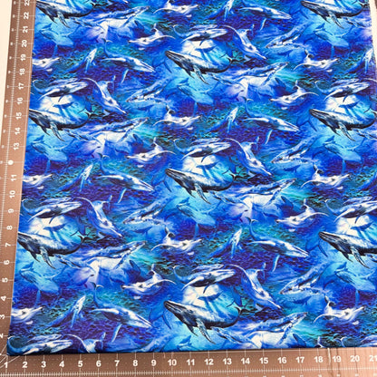 Deep Sea Whale Fabric 59 - 7821 Whales Cotton Fabric - Mary Jo Fabrics