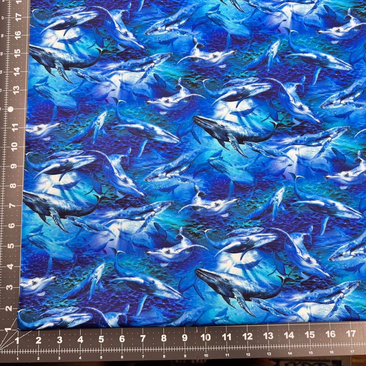 Deep Sea Whale Fabric 59 - 7821 Whales Cotton Fabric - Mary Jo Fabrics
