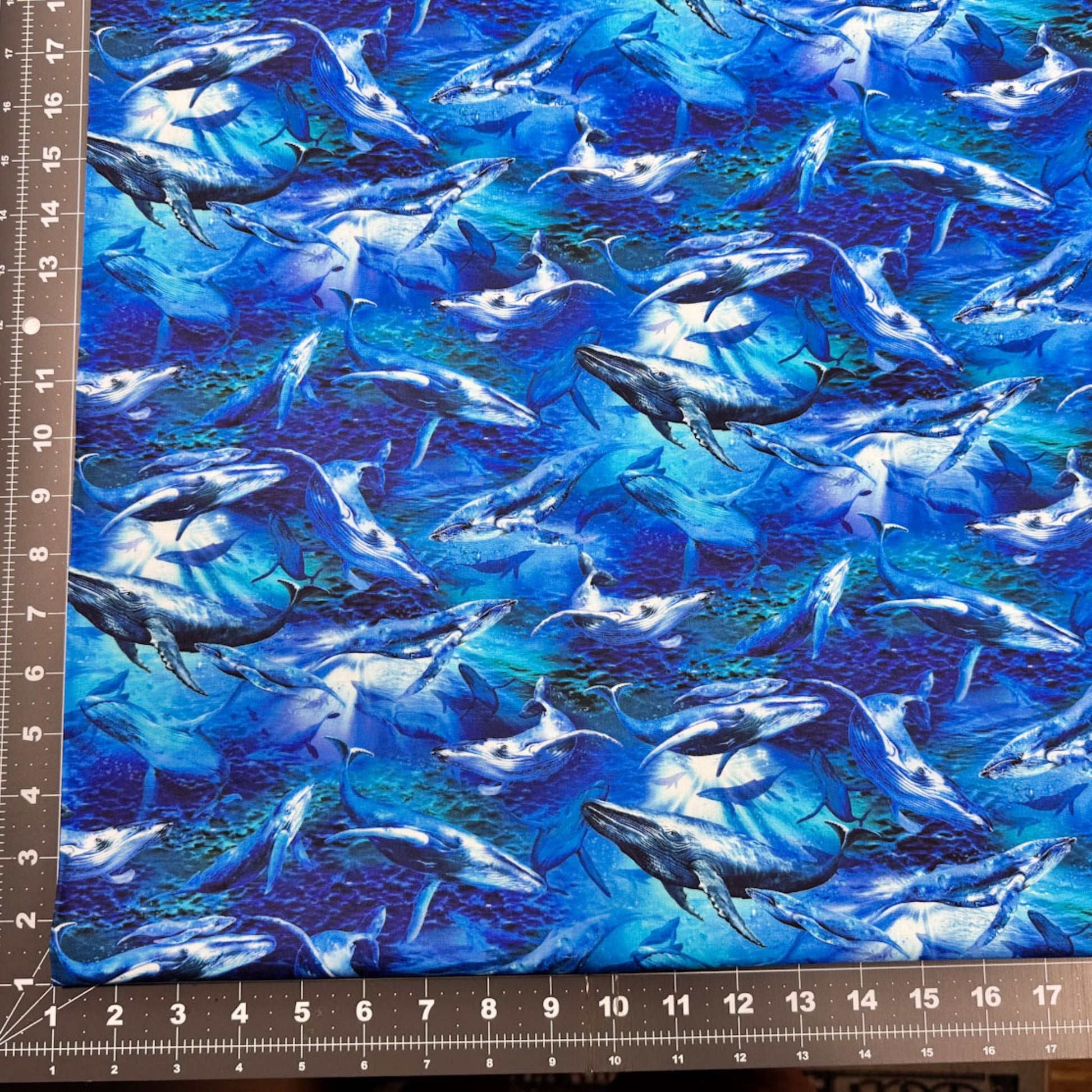 Deep Sea Whale Fabric 59 - 7821 Whales Cotton Fabric - Mary Jo Fabrics