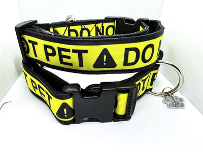Dog Collars Leashes