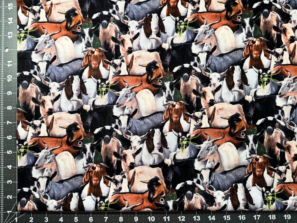 Farm Animal Goat fabric 434 Black Goats Cotton fabric - Mary Jo Fabrics