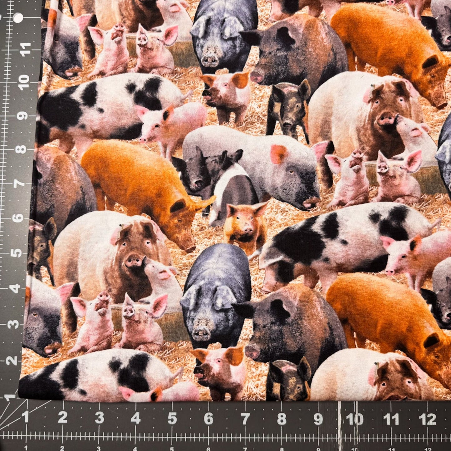 Farm Animal Pig fabric 431 Duroc Hogs and Pigs - Mary Jo Fabrics