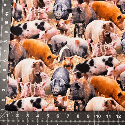 Farm Animal Pig fabric 431 Duroc Hogs and Pigs - Mary Jo Fabrics