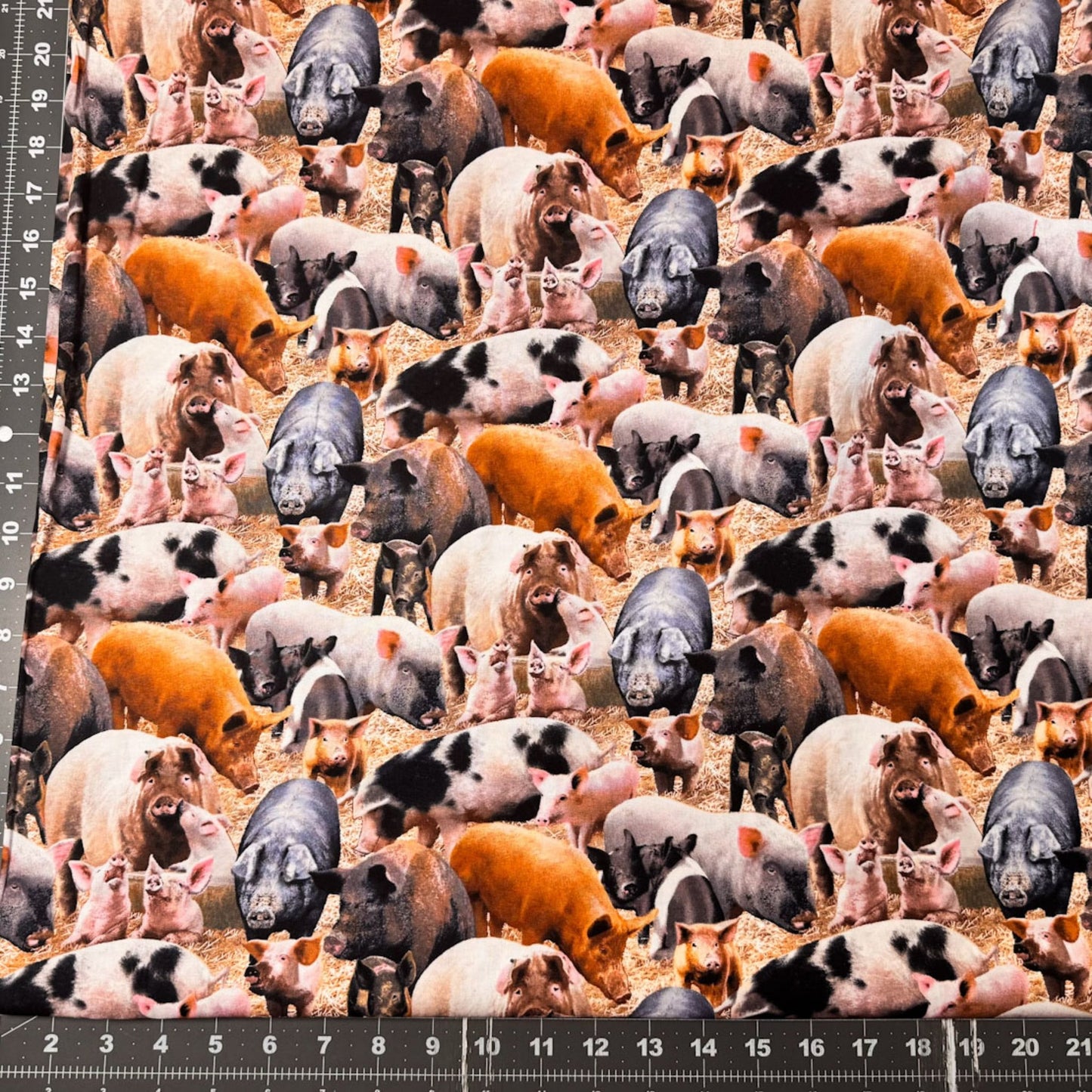 Farm Animal Pig fabric 431 Duroc Hogs and Pigs - Mary Jo Fabrics