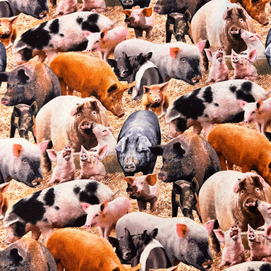 Farm Animal Pig fabric 431 Duroc Hogs and Pigs - Mary Jo Fabrics