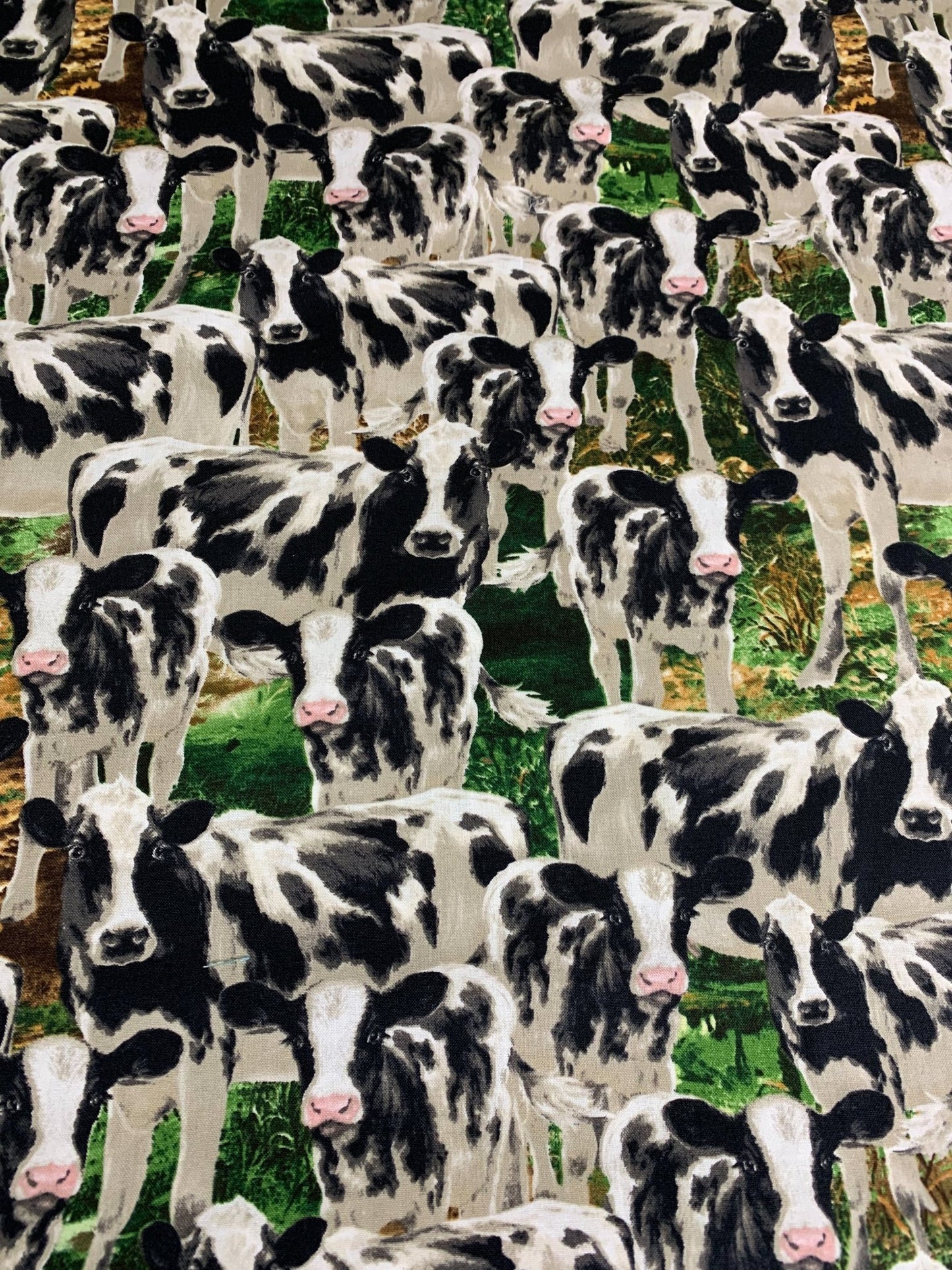 Farm Cow fabric C8337 Black White Cows cotton fabric - Mary Jo Fabrics