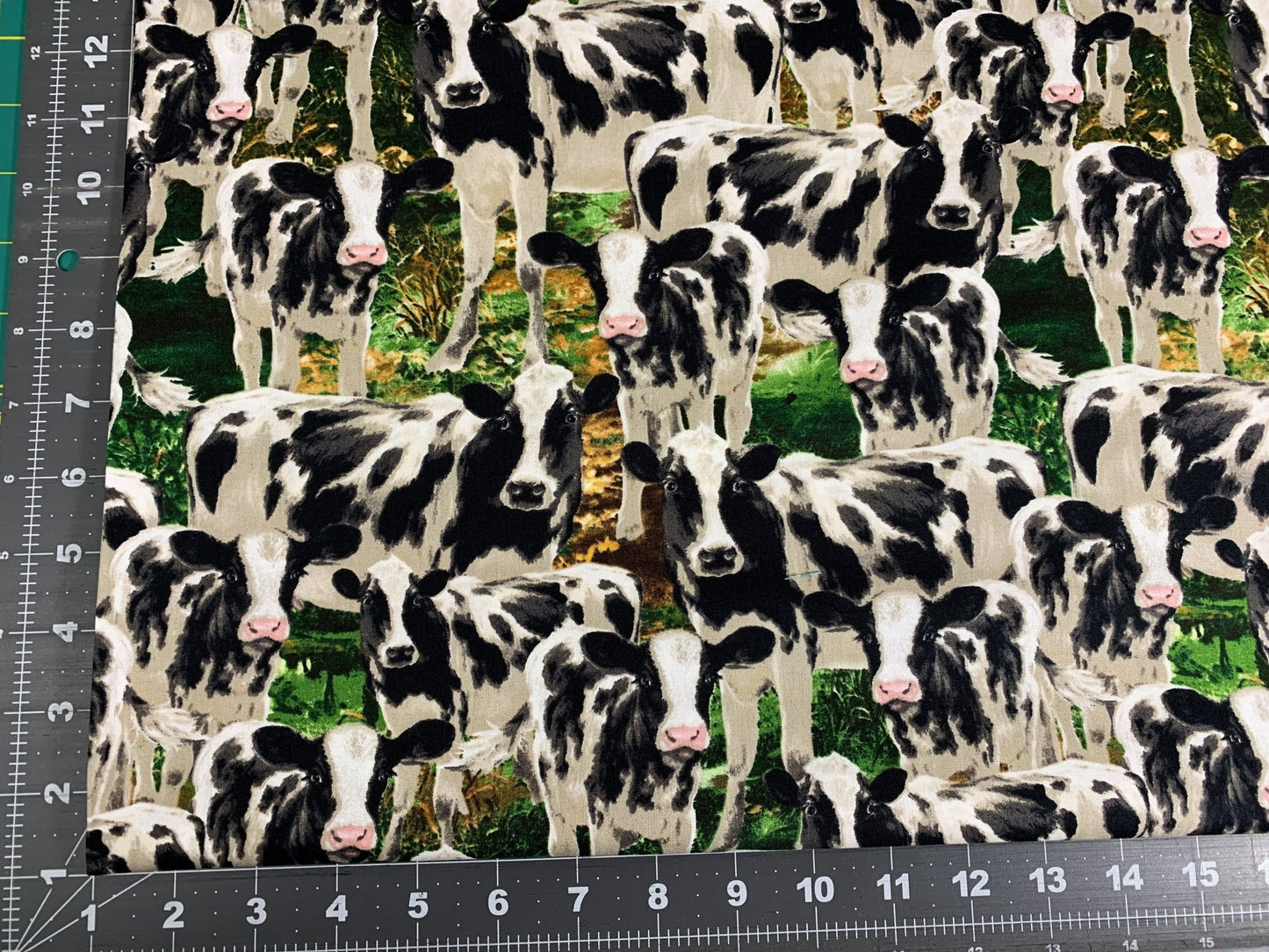 Farm Cow fabric C8337 Black White Cows cotton fabric - Mary Jo Fabrics