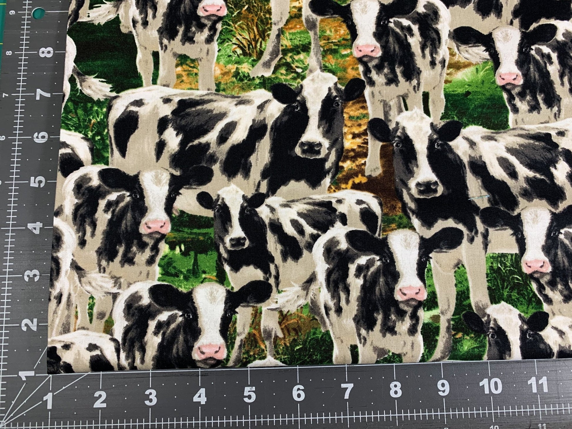 Farm Cow fabric C8337 Black White Cows cotton fabric - Mary Jo Fabrics