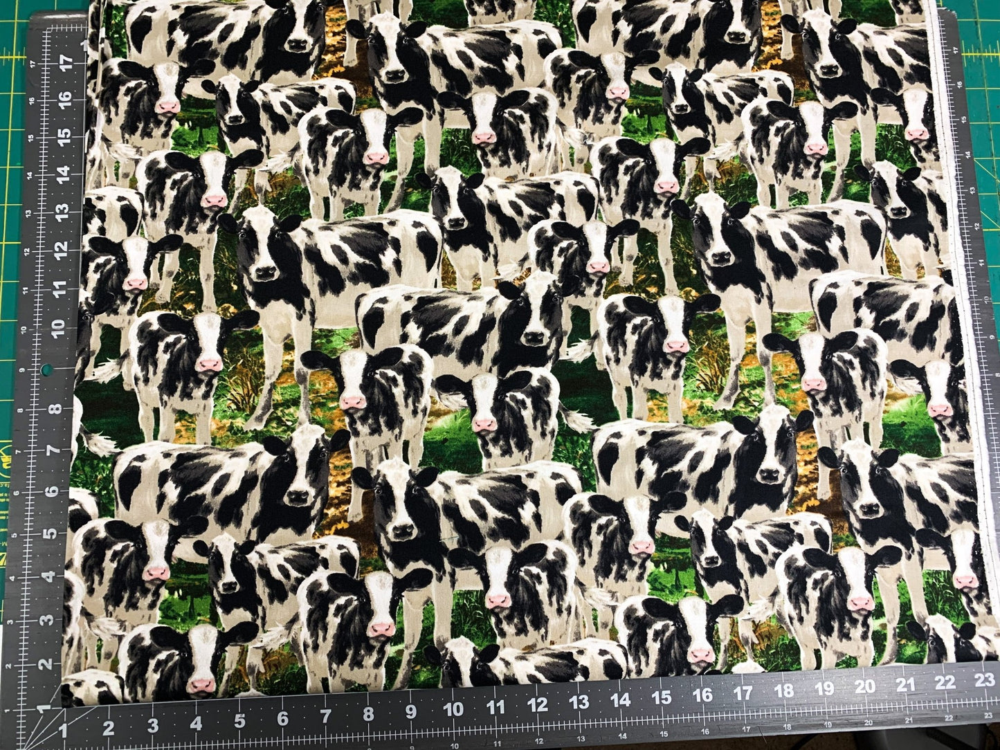 Farm Cow fabric C8337 Black White Cows cotton fabric - Mary Jo Fabrics