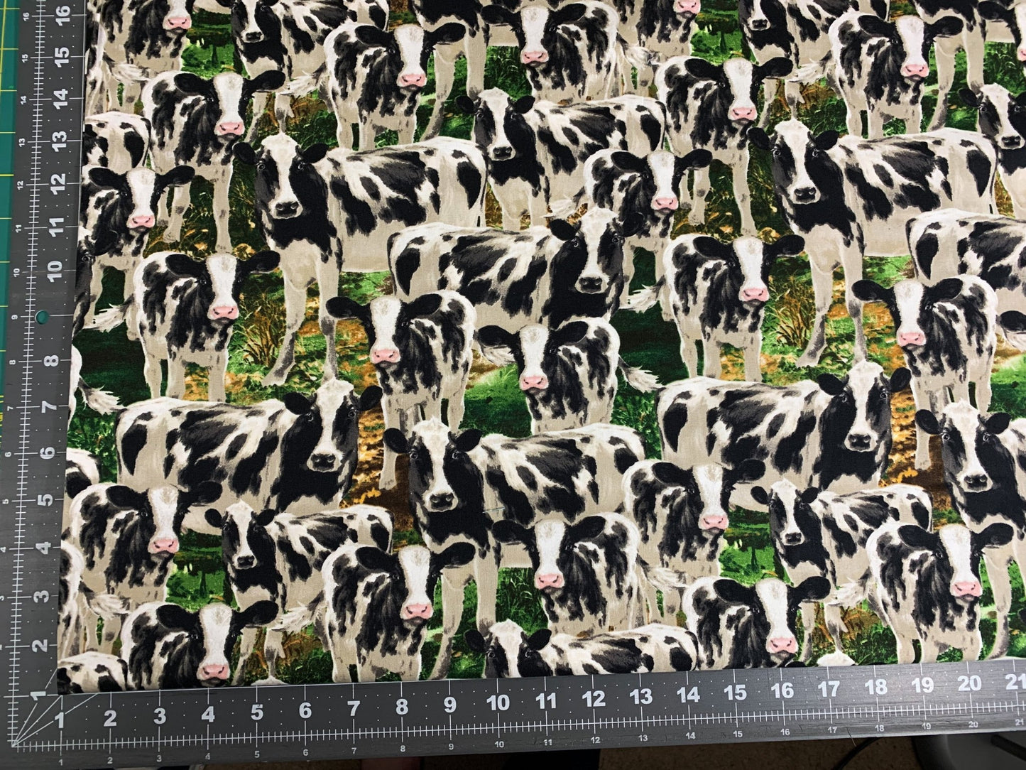 Farm Cow fabric C8337 Black White Cows cotton fabric - Mary Jo Fabrics