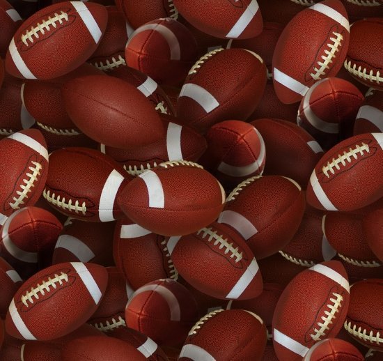 Footballs fabric 130 Brown football sports fabric - Mary Jo Fabrics