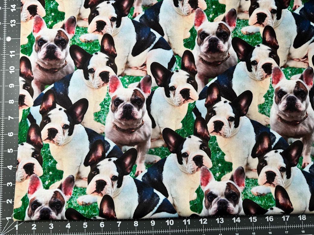 French Bulldog fabric DX43673C1 Frenchie fabric - Mary Jo Fabrics