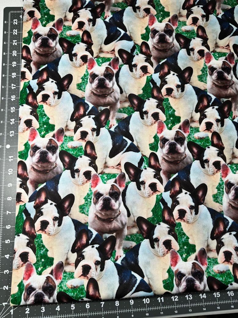 French Bulldog fabric DX43673C1 Frenchie fabric - Mary Jo Fabrics