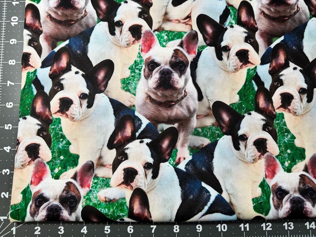 French Bulldog fabric DX43673C1 Frenchie fabric Mary Jo Fabrics