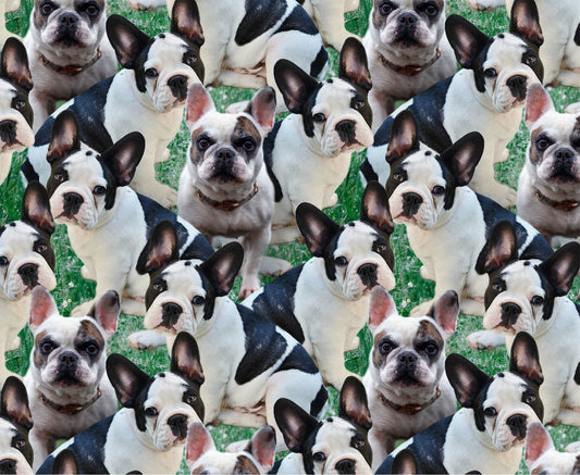 French Bulldog fabric DX43673C1 Frenchie fabric - Mary Jo Fabrics