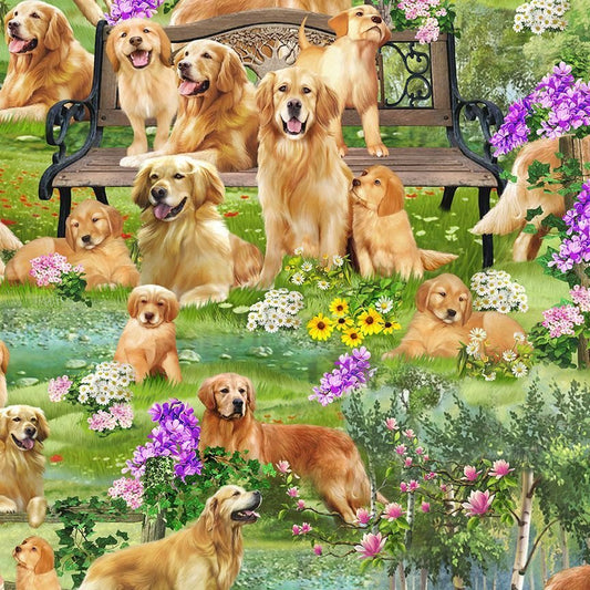 Golden Retriever Dog Cotton Fabric CD2944 Dogs Fabric - Mary Jo Fabrics