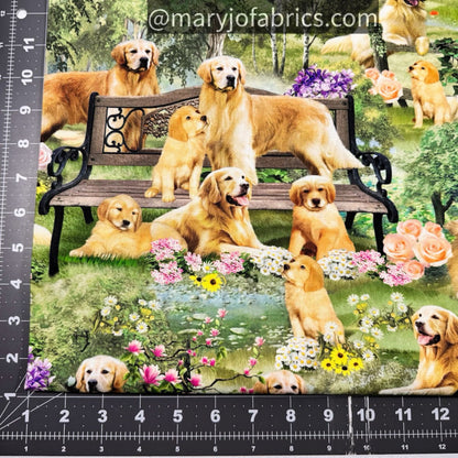 Golden Retriever Dog Cotton Fabric CD2944 Dogs Fabric - Mary Jo Fabrics