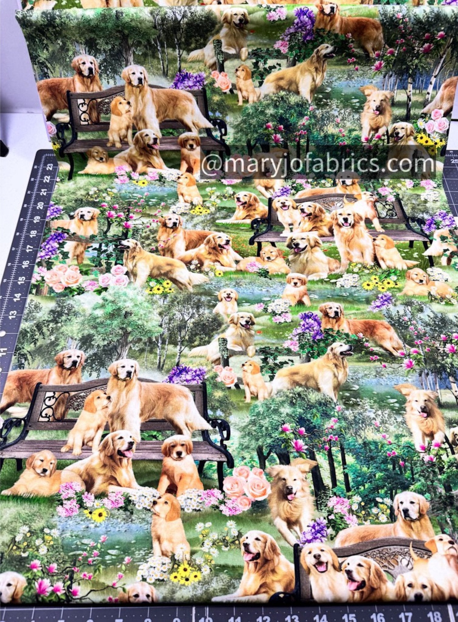 Golden Retriever Dog Cotton Fabric CD2944 Dogs Fabric - Mary Jo Fabrics