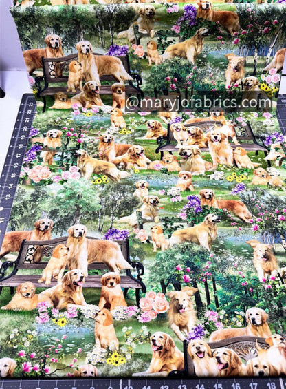 Golden Retriever Dog Cotton Fabric CD2944 Dogs Fabric - Mary Jo Fabrics