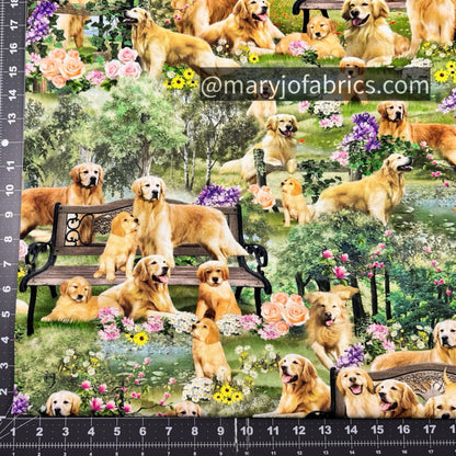 Golden Retriever Dog Cotton Fabric CD2944 Dogs Fabric - Mary Jo Fabrics