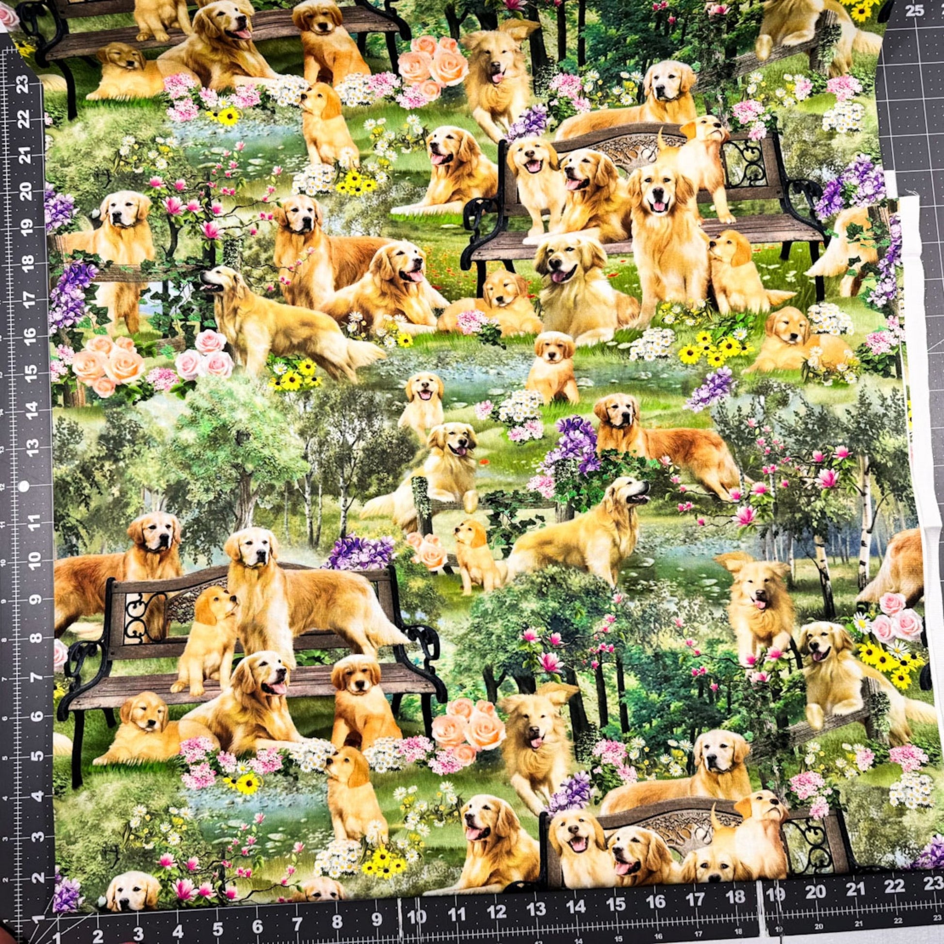 Golden Retriever Dog Cotton Fabric CD2944 Dogs Fabric - Mary Jo Fabrics