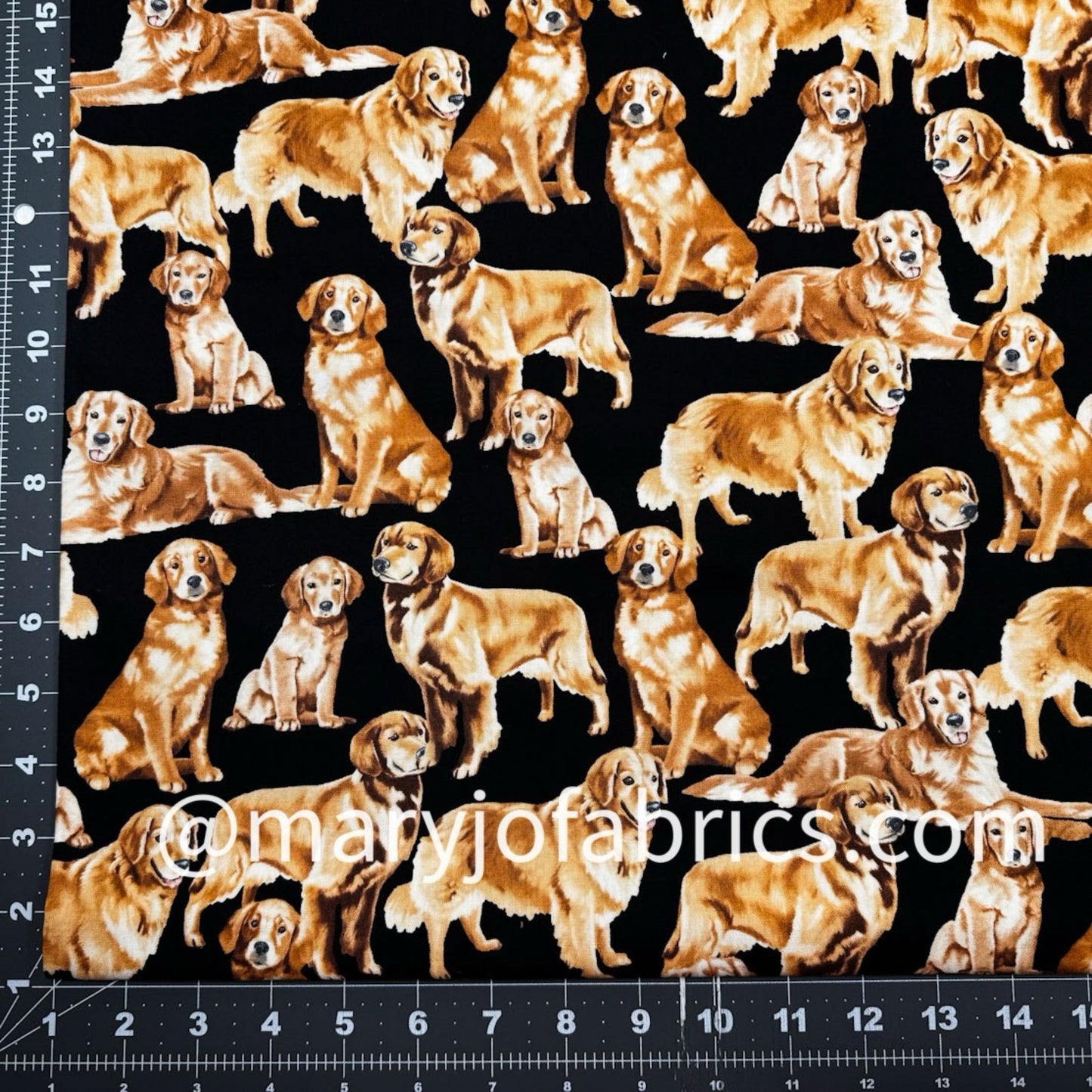 Golden Retriever Dog Fabric Cotton GM - C4892 - Mary Jo Fabrics