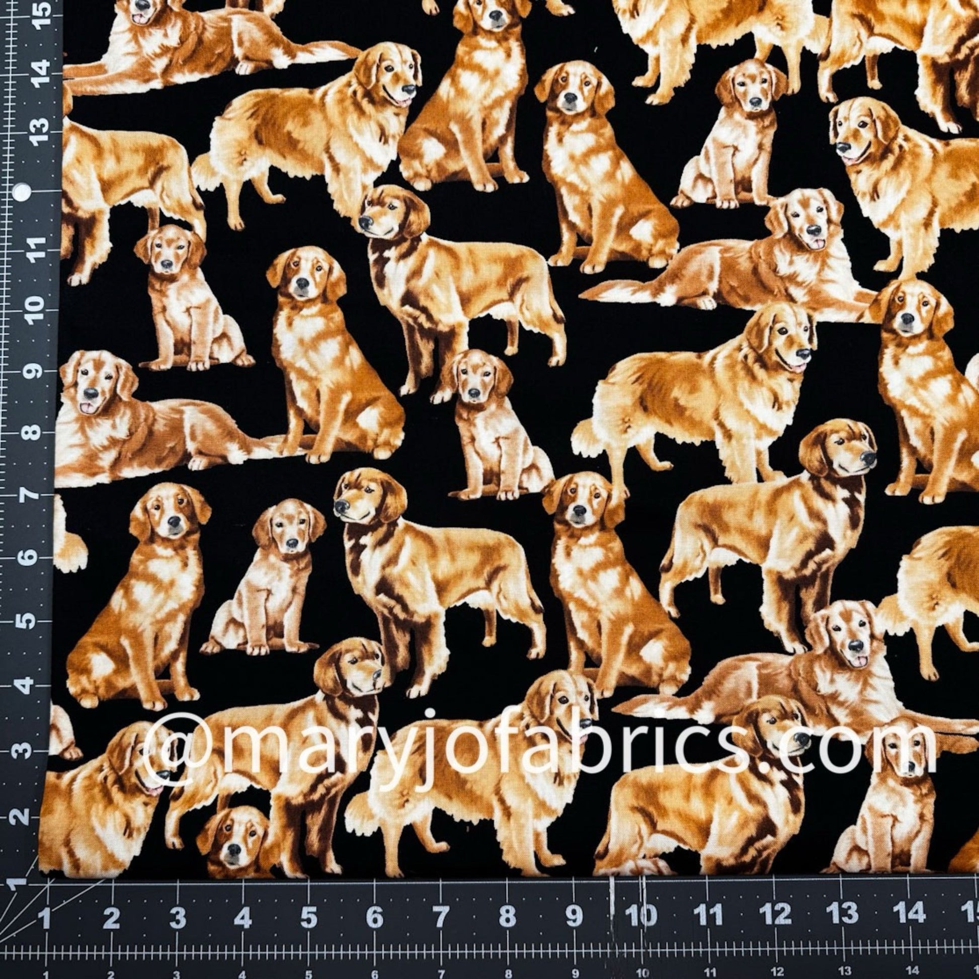 Golden Retriever Dog Fabric Cotton GM - C4892 - Mary Jo Fabrics